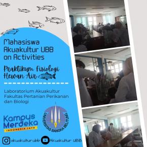 Kegiatan Praktek Mahasiswa Akuakultur