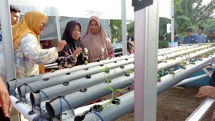 Prodi Akuakultur Bersama Himakuatik UBB Tingkatkan Produksi Sayur dengan Tenaga Surya melalui Sistem Akuaponik di Pulau Panjang Bangka Selatan
