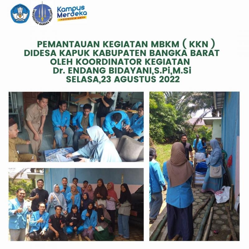 pemantauan kegiatan MBKM oleh koordinator kegiatan