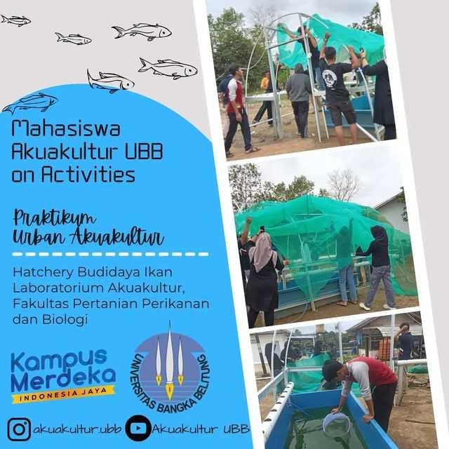 PRAKTIKUM URBAN AKUAKULTUR